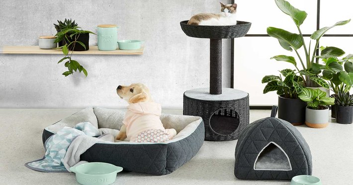 Cat stuff outlet kmart